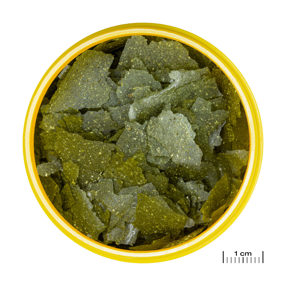JBL PRONOVO SPIRULINA FLAKES M 0,1 Liter