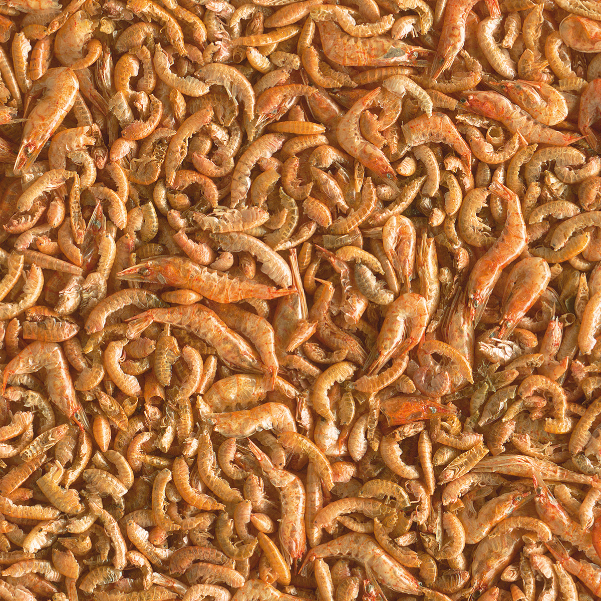 Tetra Pond Shrimp Mix 1,0 Liter (Natural Snack Ergänzungsfutter)