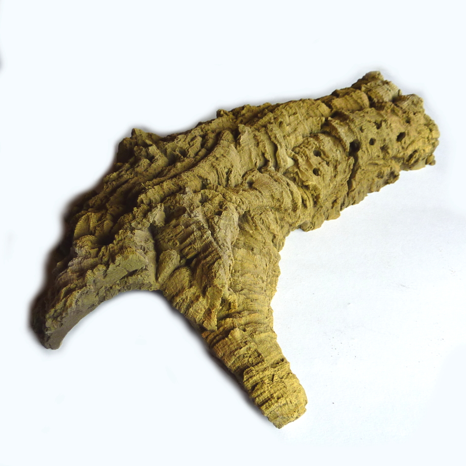 Korhöhle L 37 x 20 x 6 cm