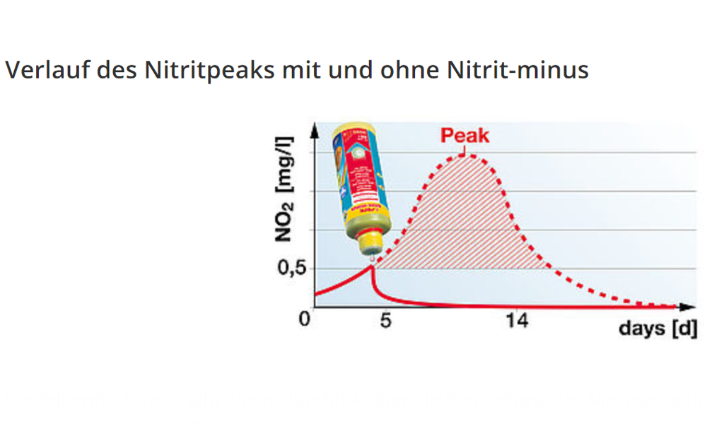 sera Nitrit-minus Verlauf