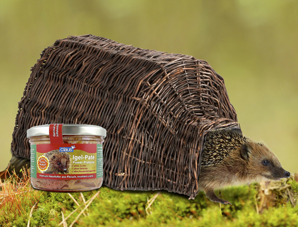 Claus Igel-Pate mit Igel