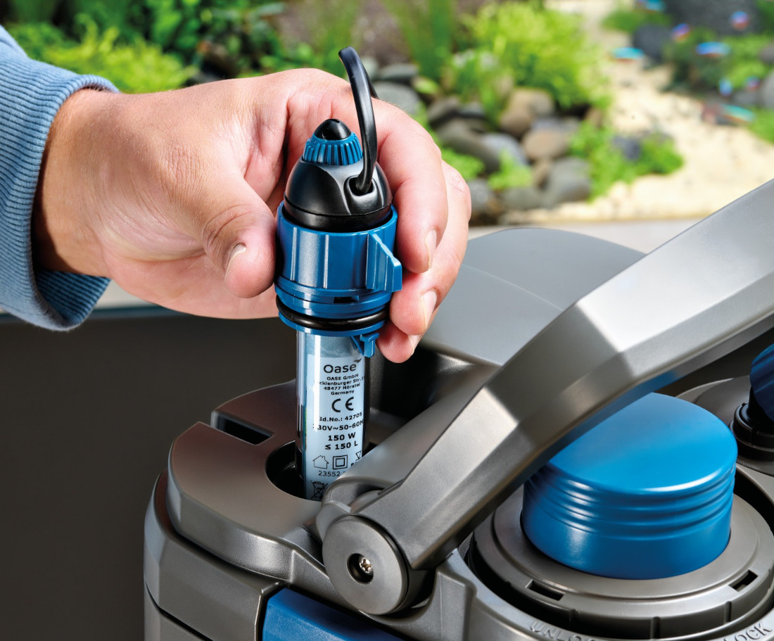 OASE BioMaster² Thermo 250 Außenfilter für Aquarien